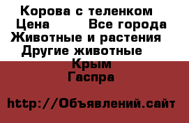 Корова с теленком › Цена ­ 69 - Все города Животные и растения » Другие животные   . Крым,Гаспра